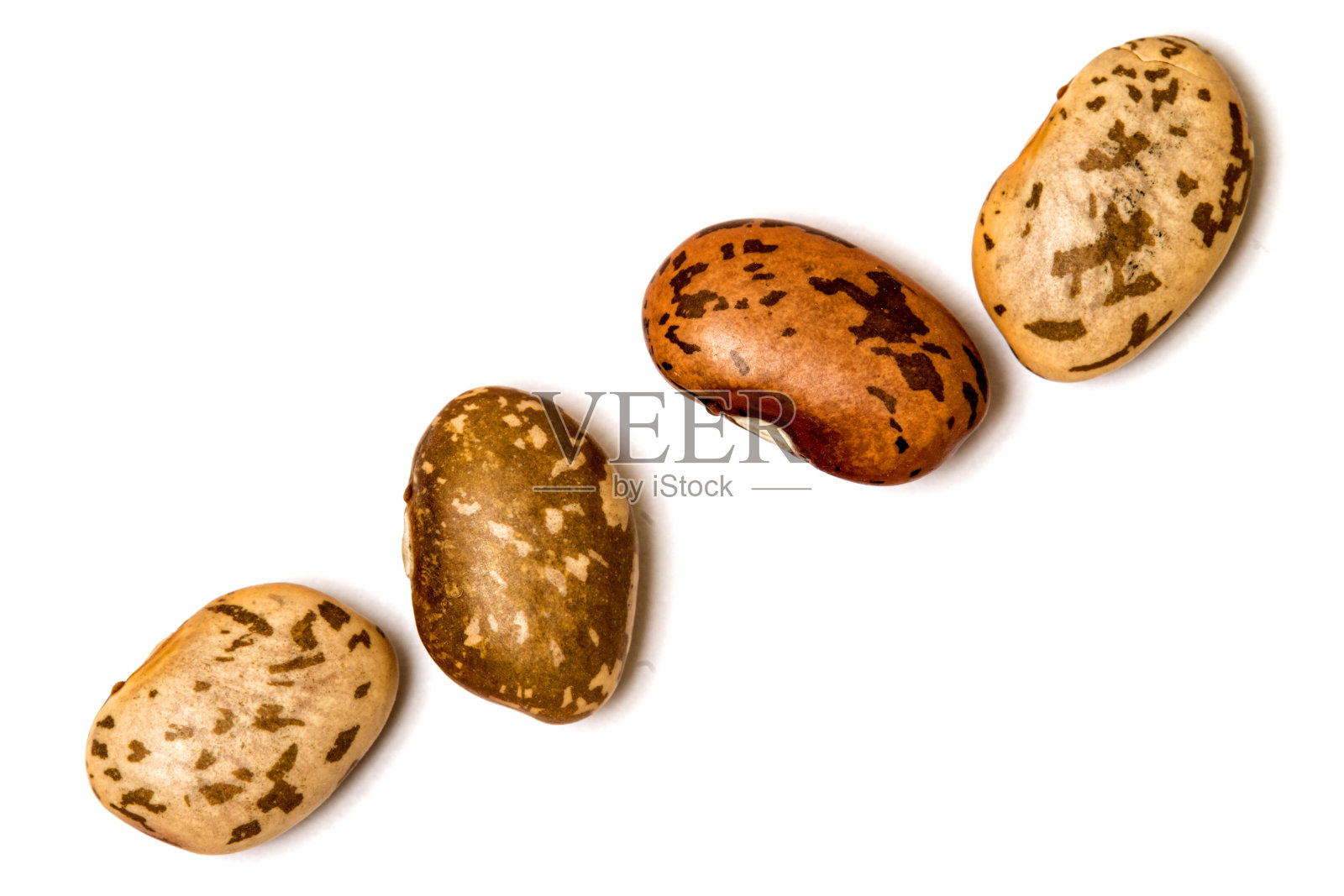 在白色上孤立的一行花斑豆照片摄影图片