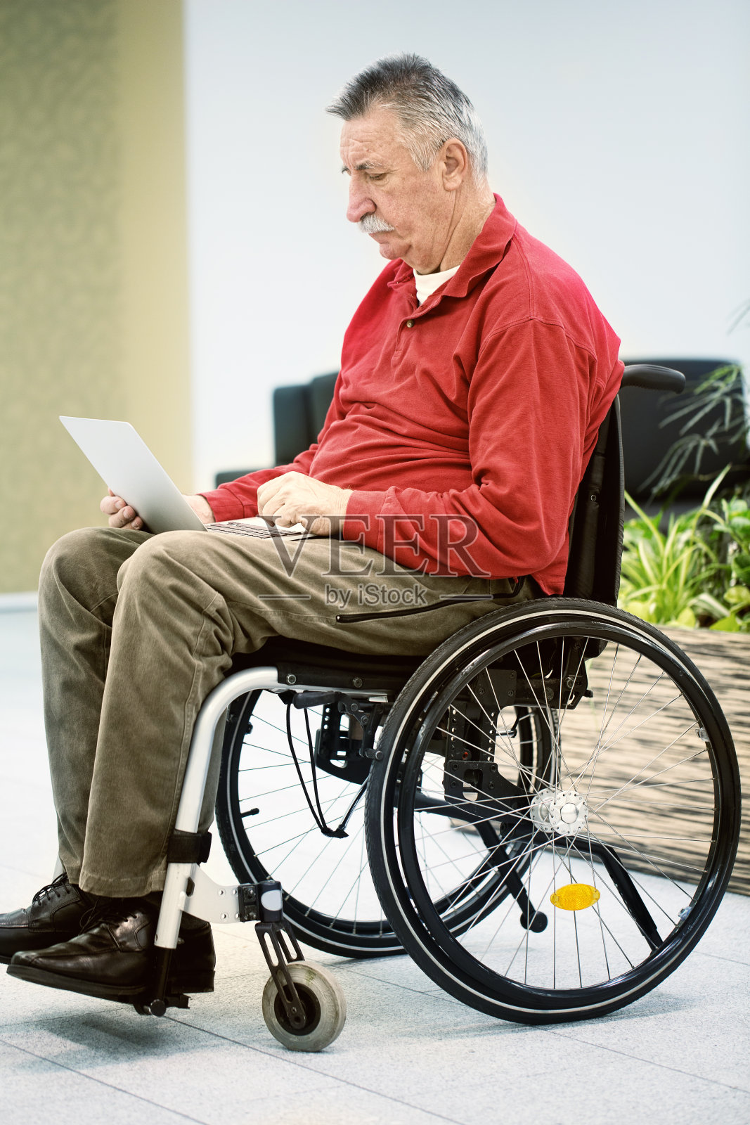 残疾人老人坐在轮椅上浏览笔记本电脑照片摄影图片