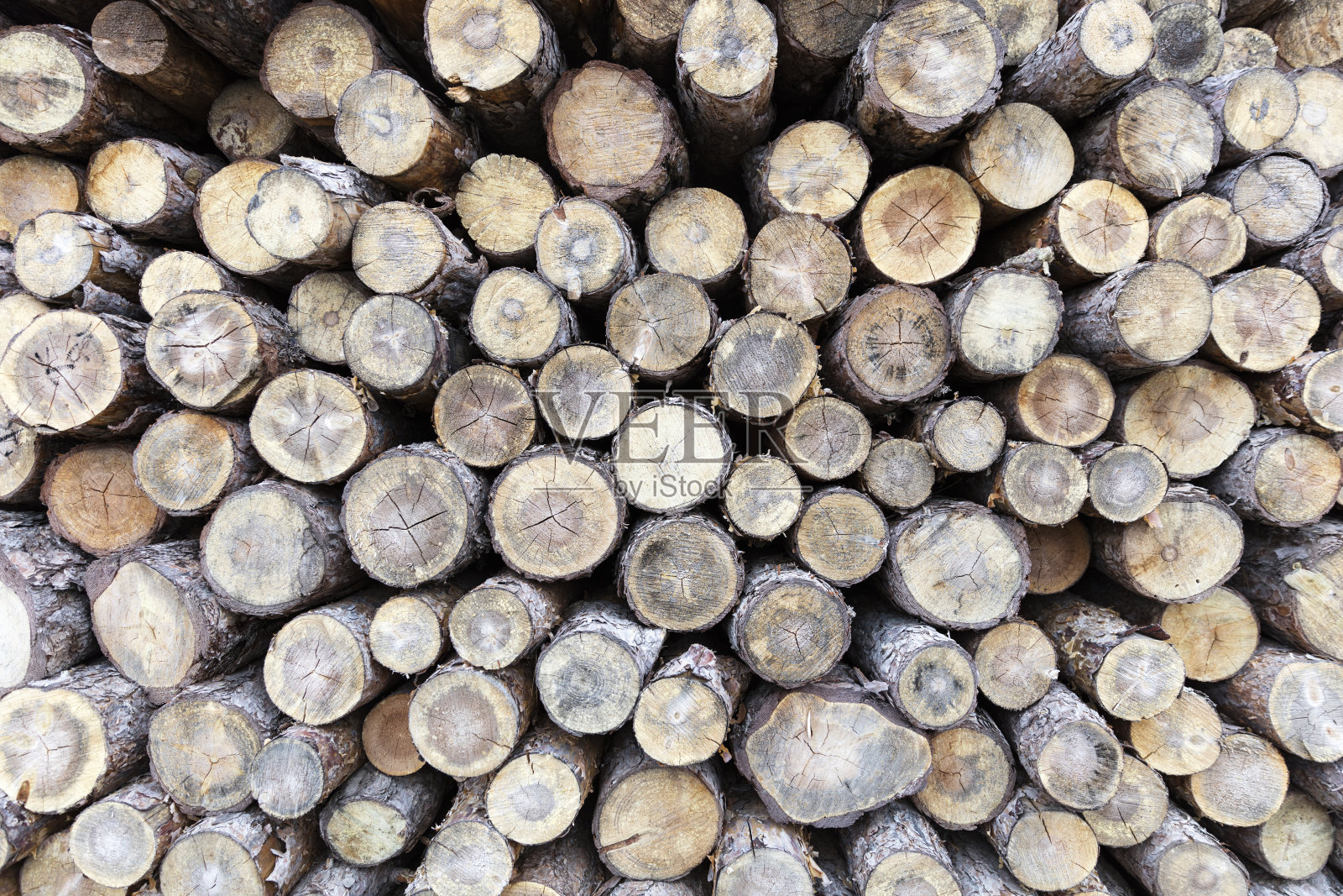 原木纹理背景照片摄影图片