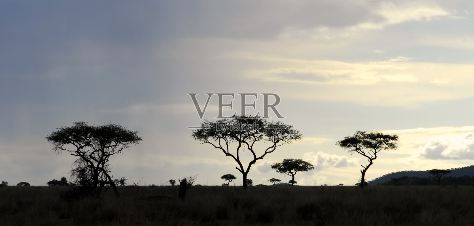 黄昏的非洲大草原照片摄影图片