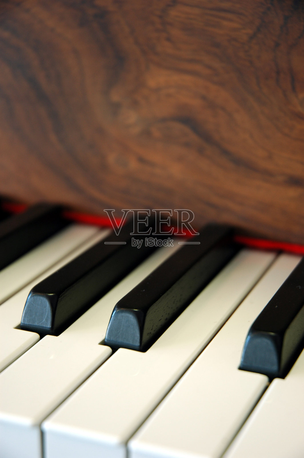 钢琴琴键和核桃照片摄影图片
