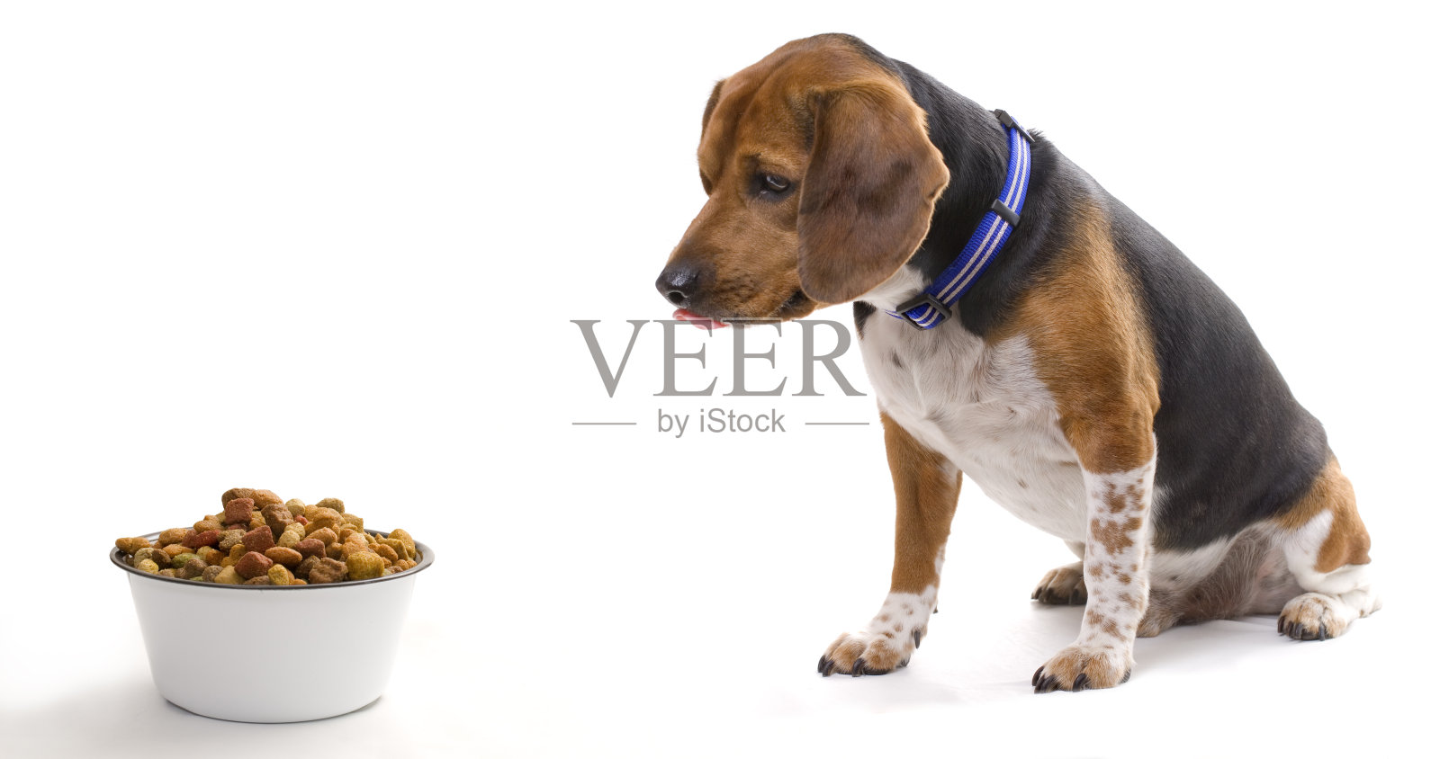 饥饿照片摄影图片