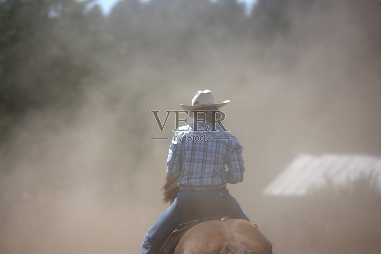 《尘埃中的牛仔女照片摄影图片