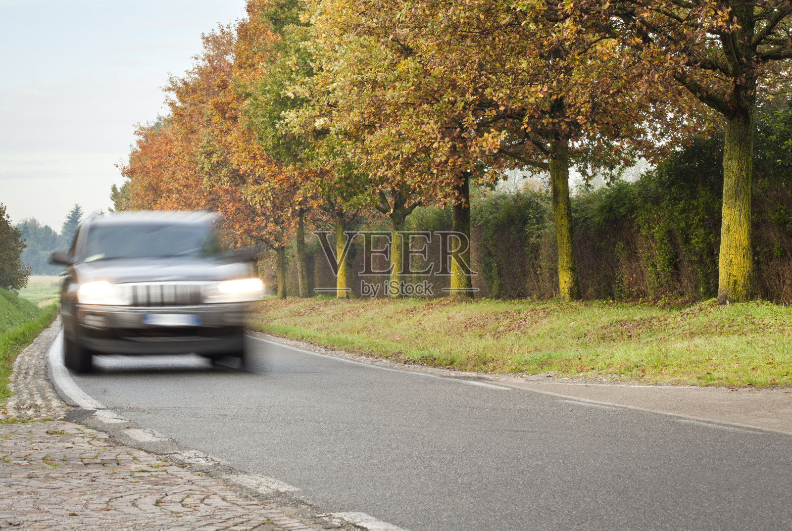 街道上模糊的汽车和秋天的树木照片摄影图片