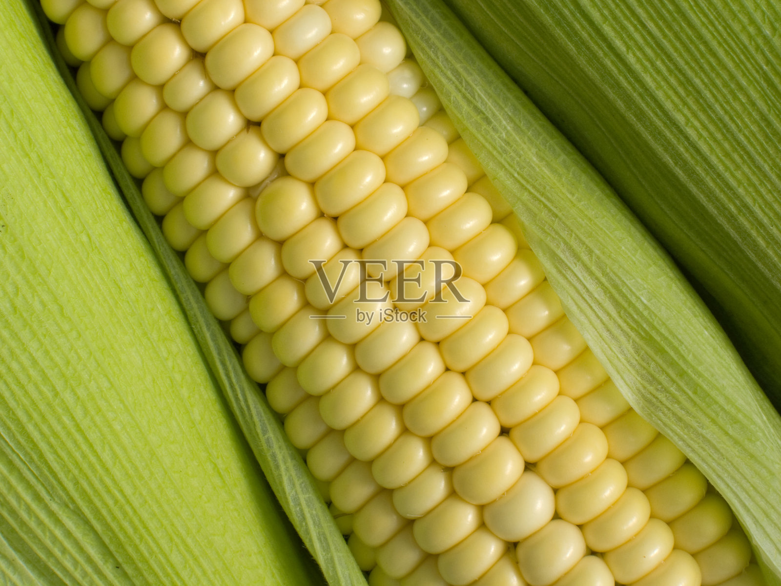 耳玉米照片摄影图片