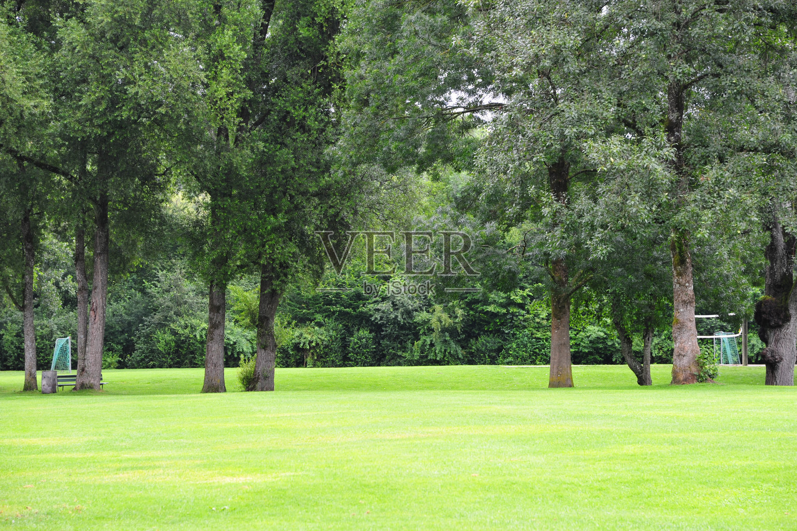 草原和森林照片摄影图片