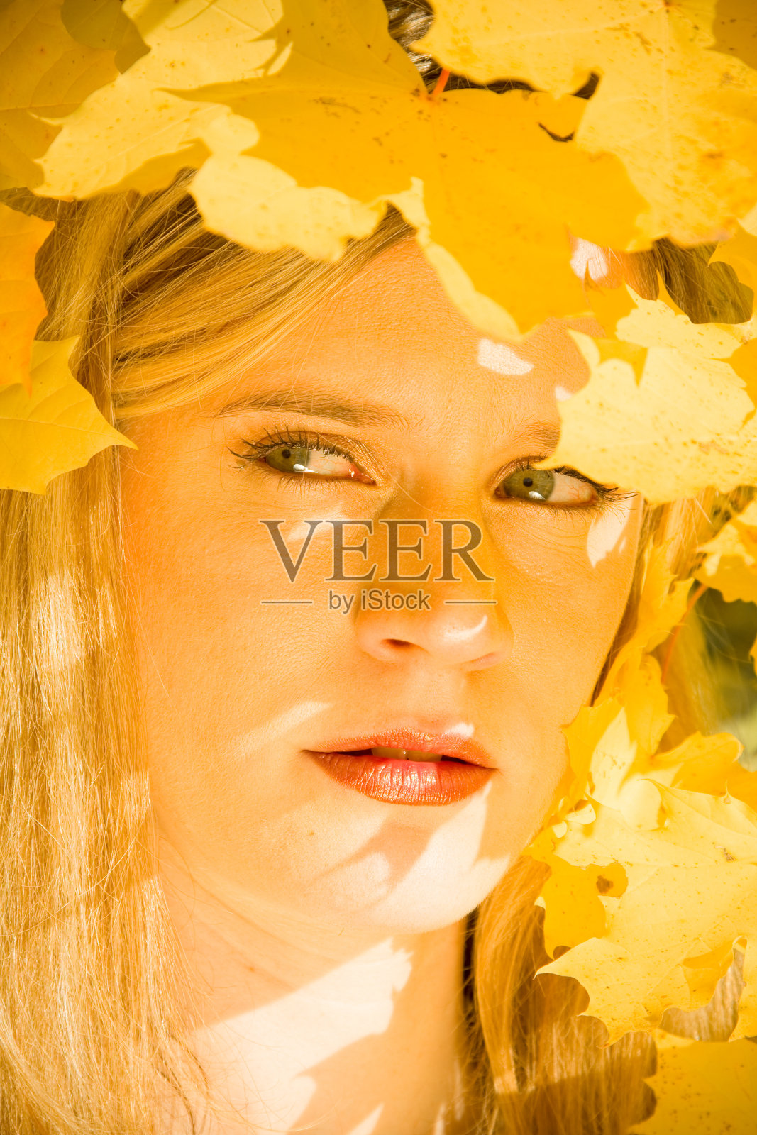 秋天的肖像照片摄影图片