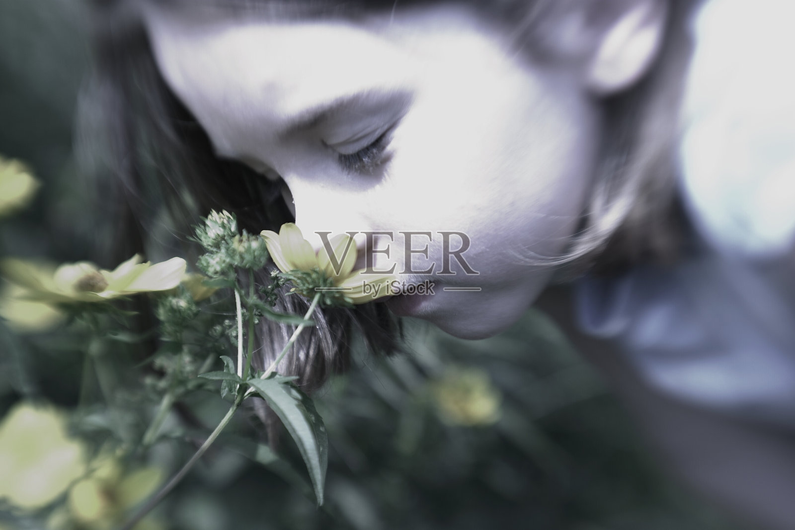 闻到我照片摄影图片