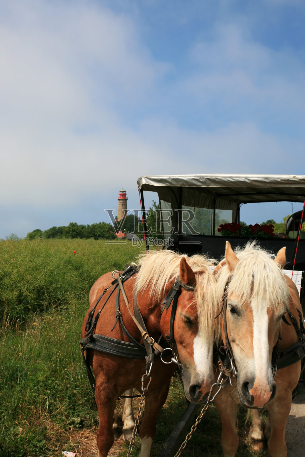 马车和灯塔照片摄影图片