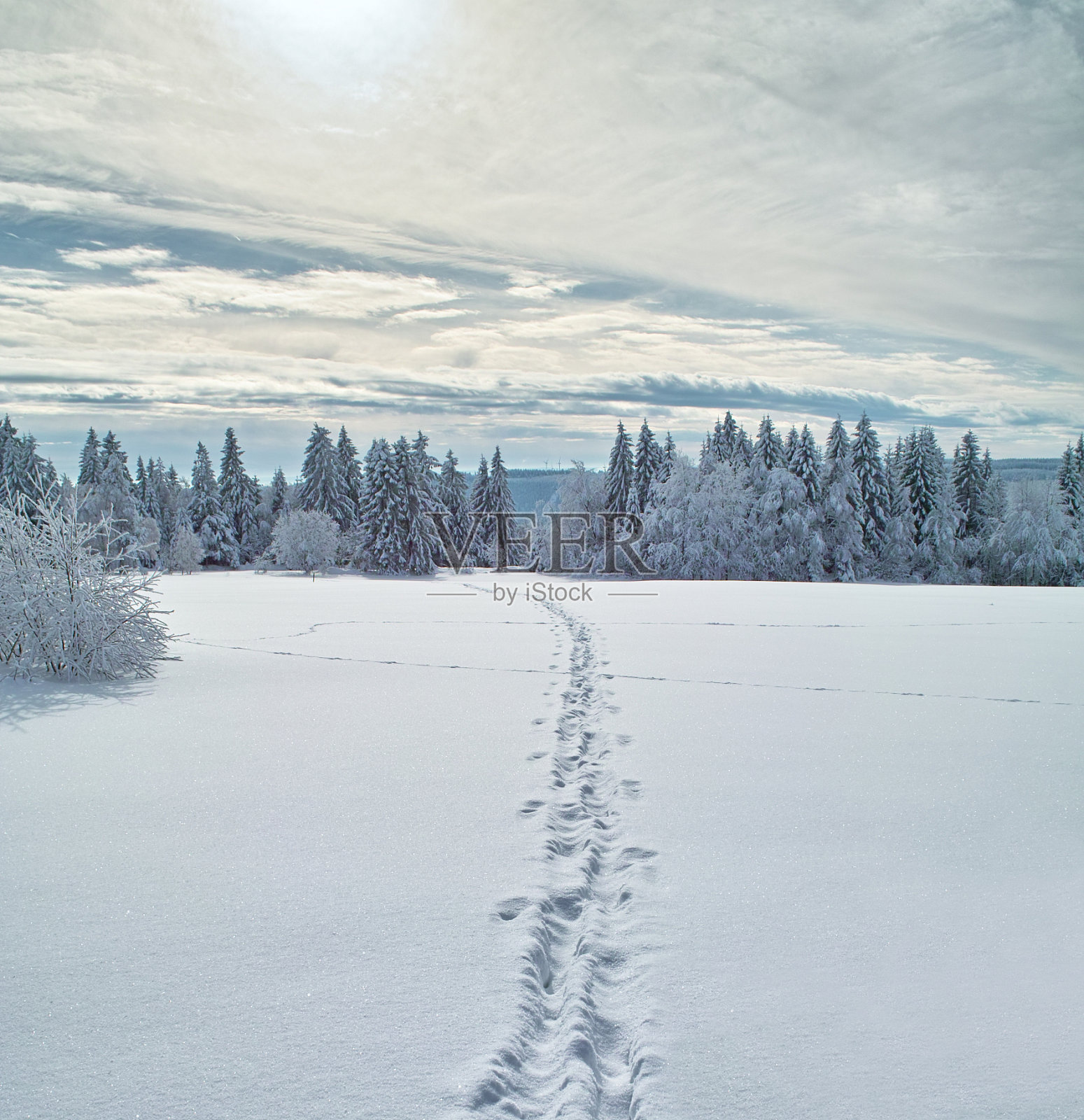 下雪的冬天的风景照片摄影图片
