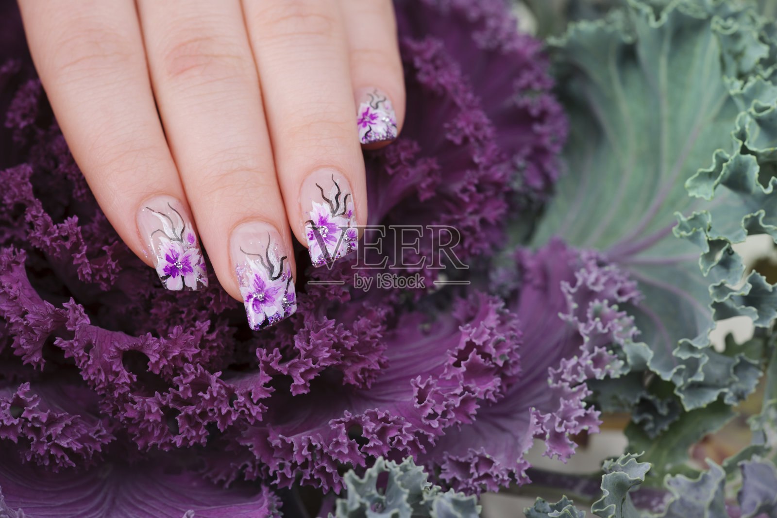 紫色的指甲照片摄影图片