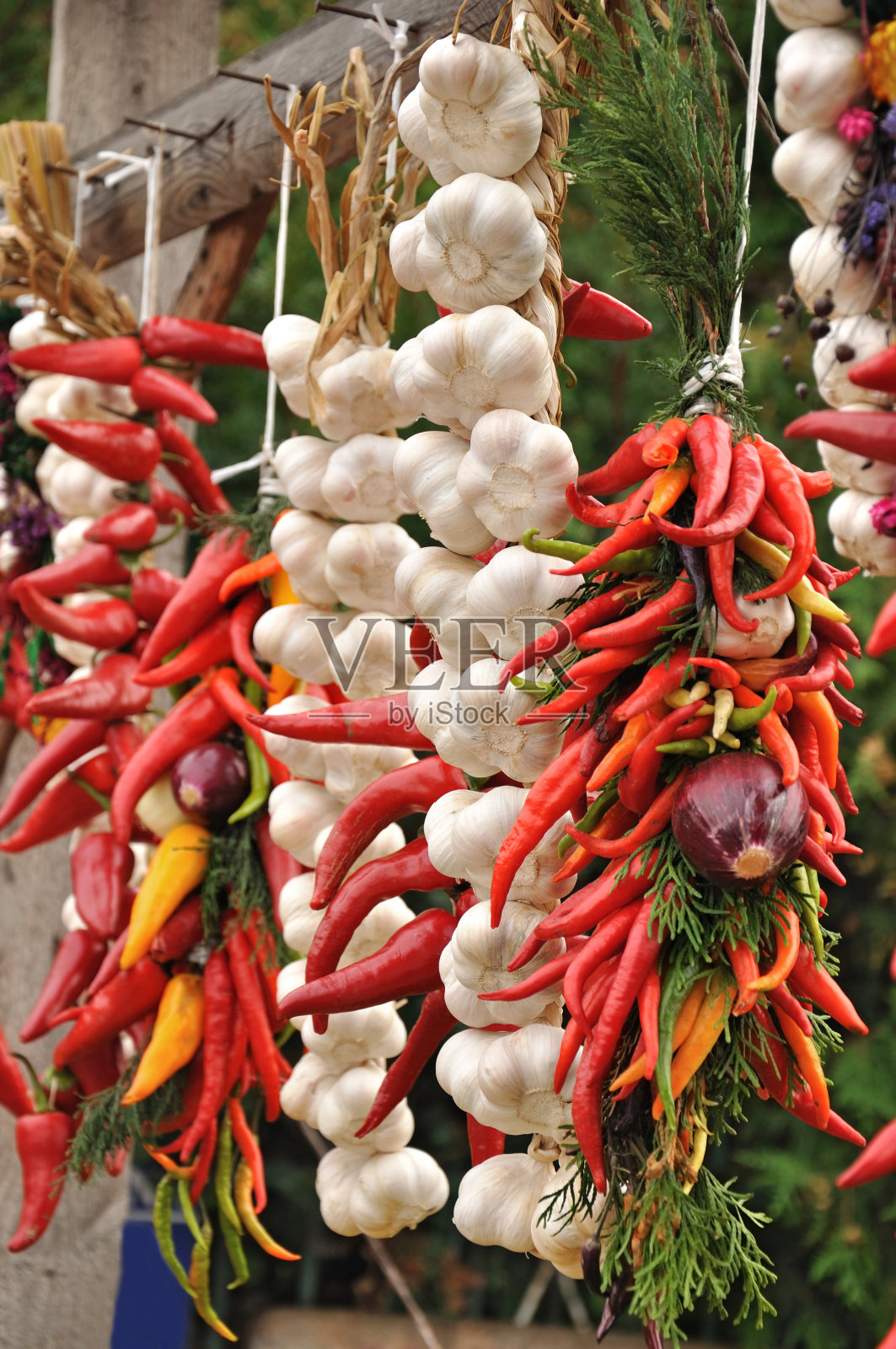 挂辣椒和大蒜照片摄影图片