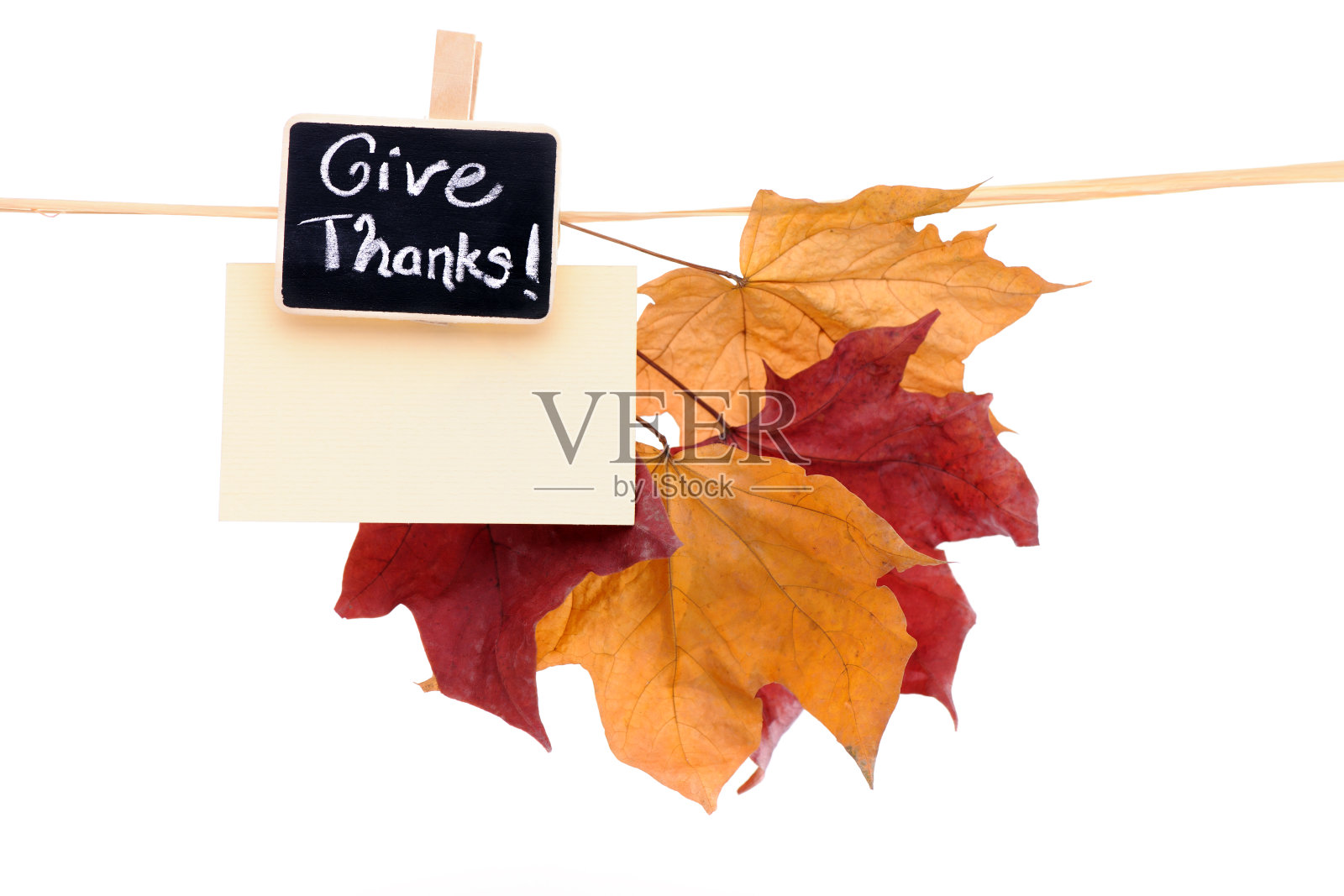 秋色的枫叶挂在晾衣绳上照片摄影图片