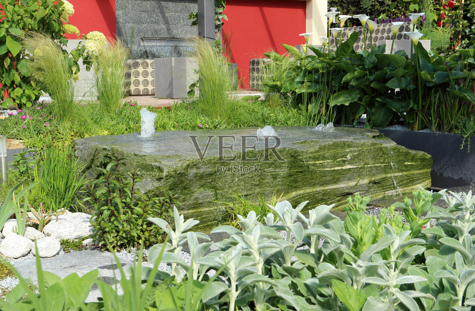 美丽的景观照片摄影图片