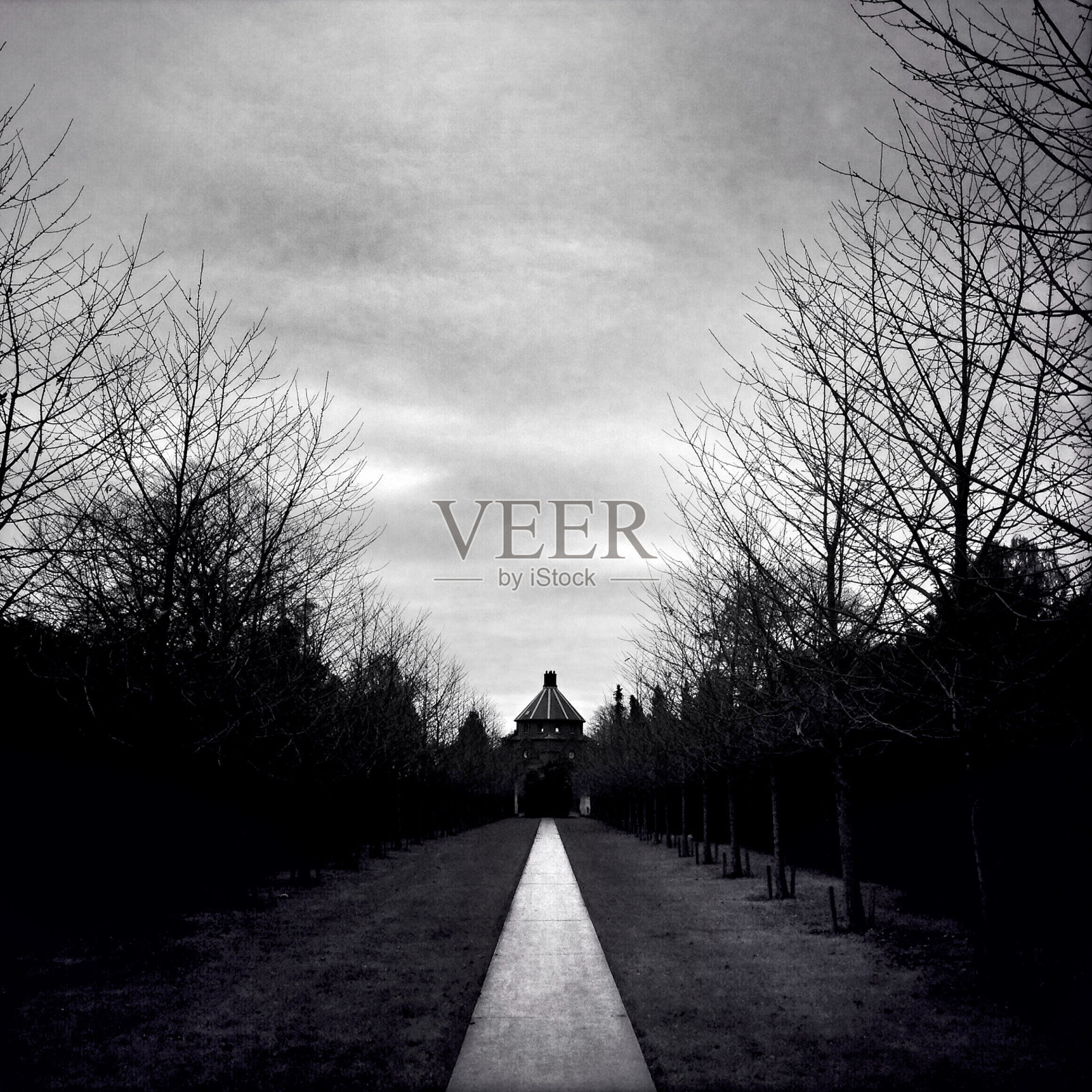 秋天的路径照片摄影图片