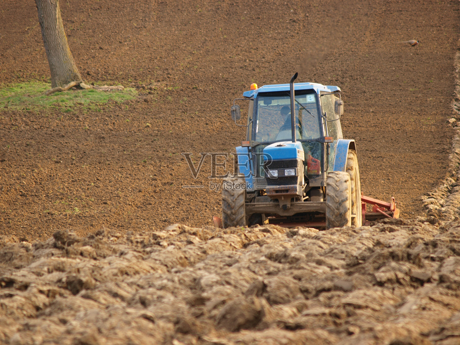准备的字段照片摄影图片