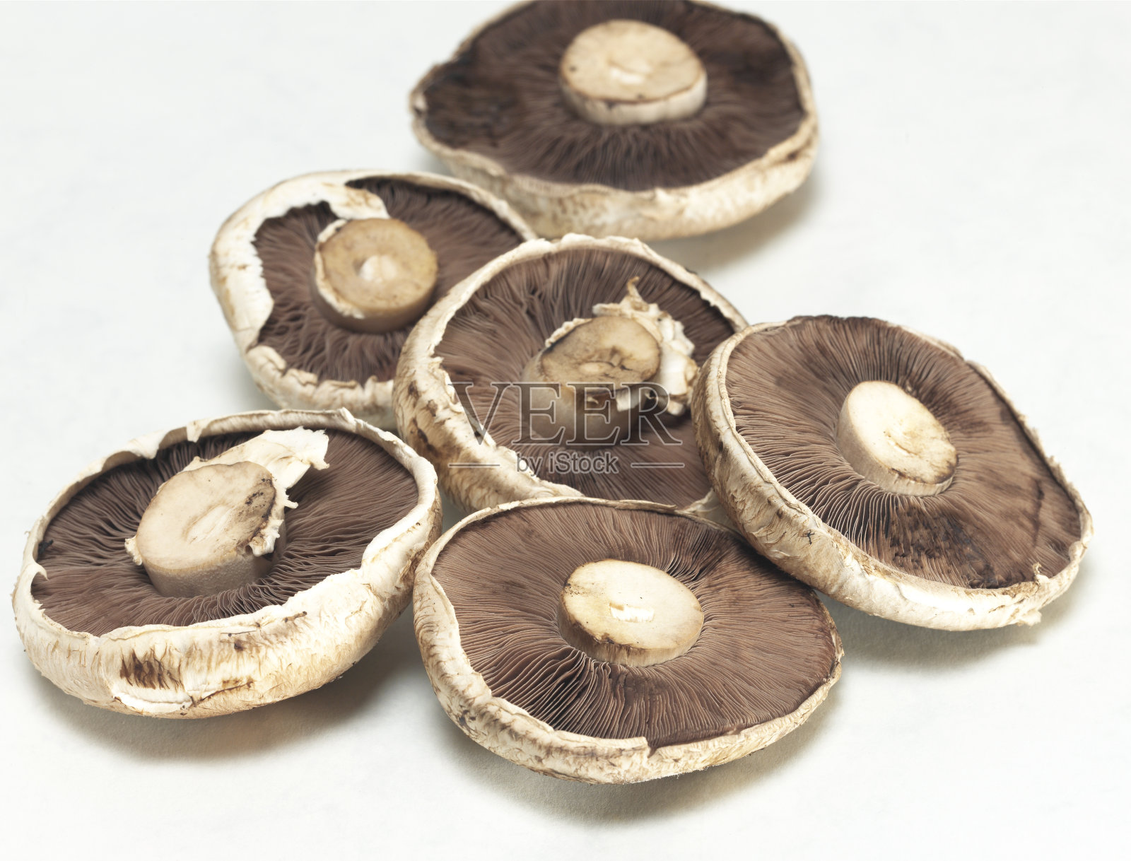 最好的照片摄影图片