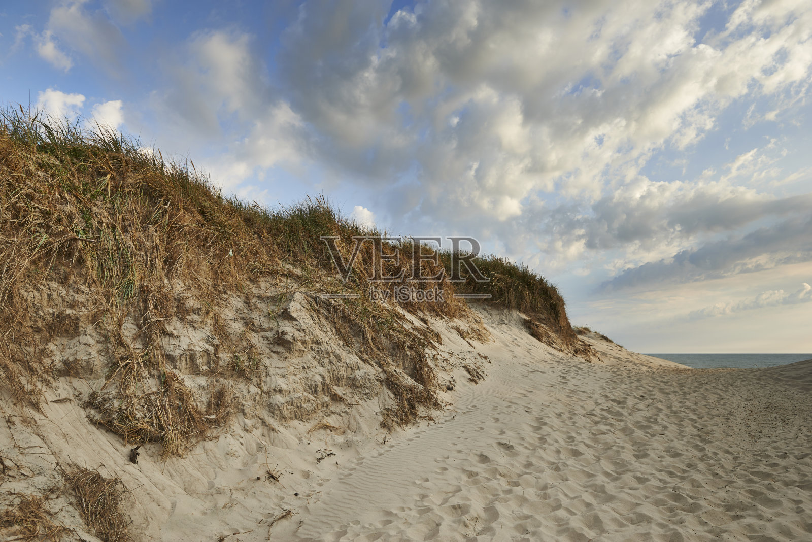 海边的沙丘照片摄影图片
