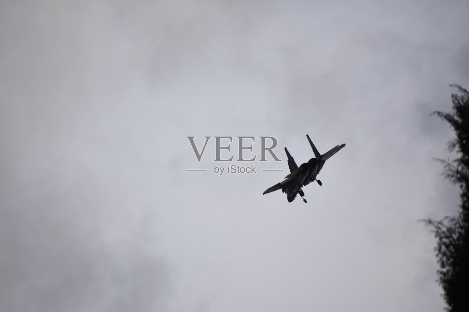 空中飞鸟的低角度视图照片摄影图片