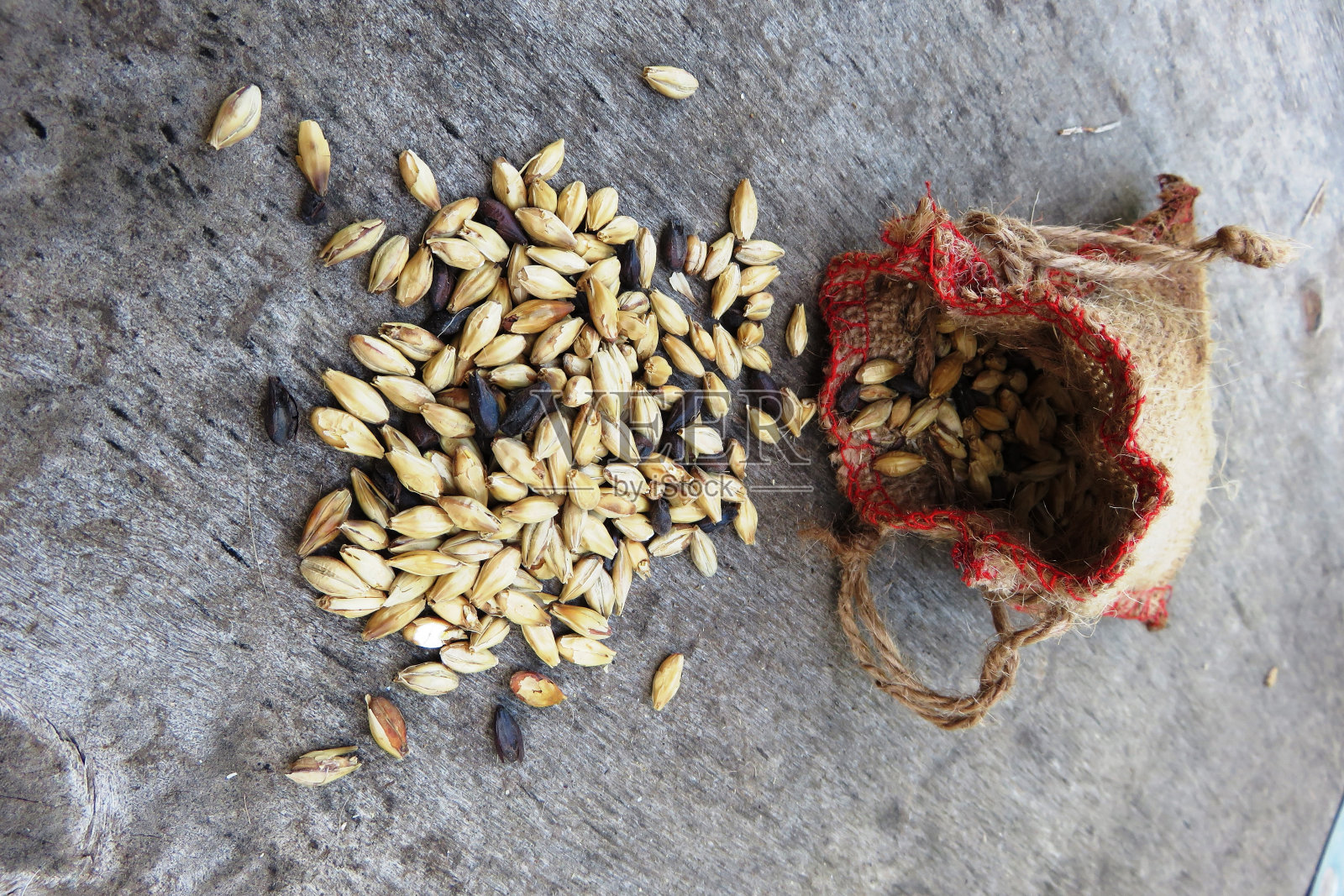 酿造啤酒的种子照片摄影图片