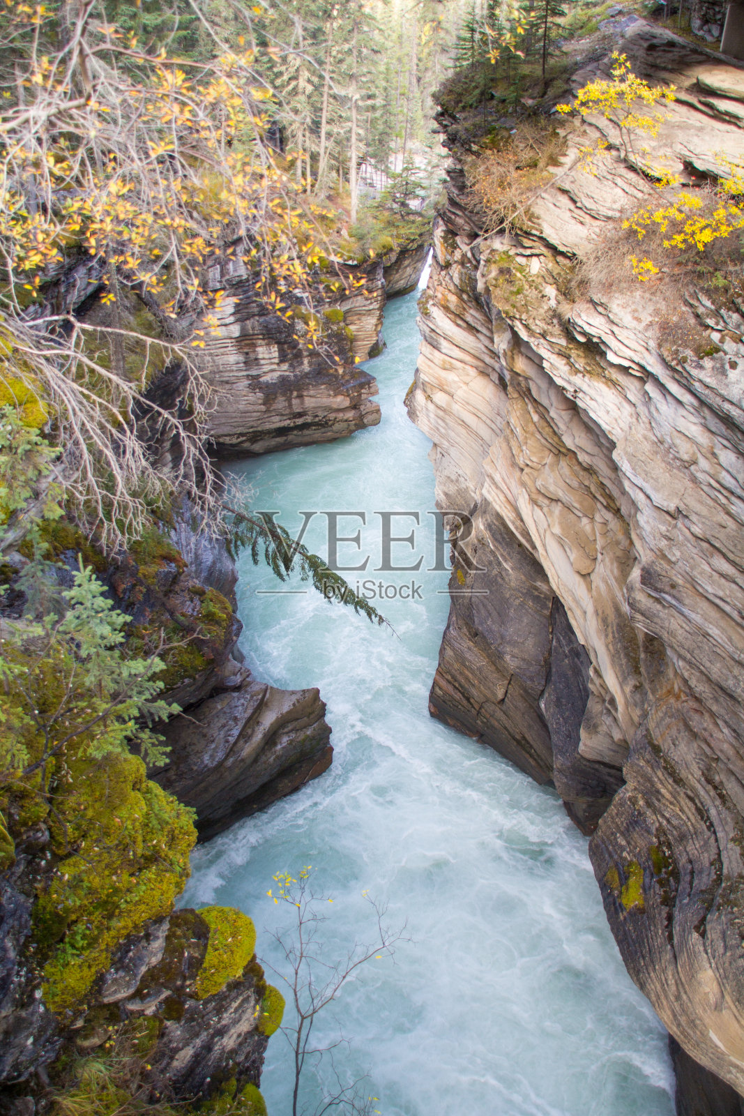 阿萨巴斯卡河照片摄影图片