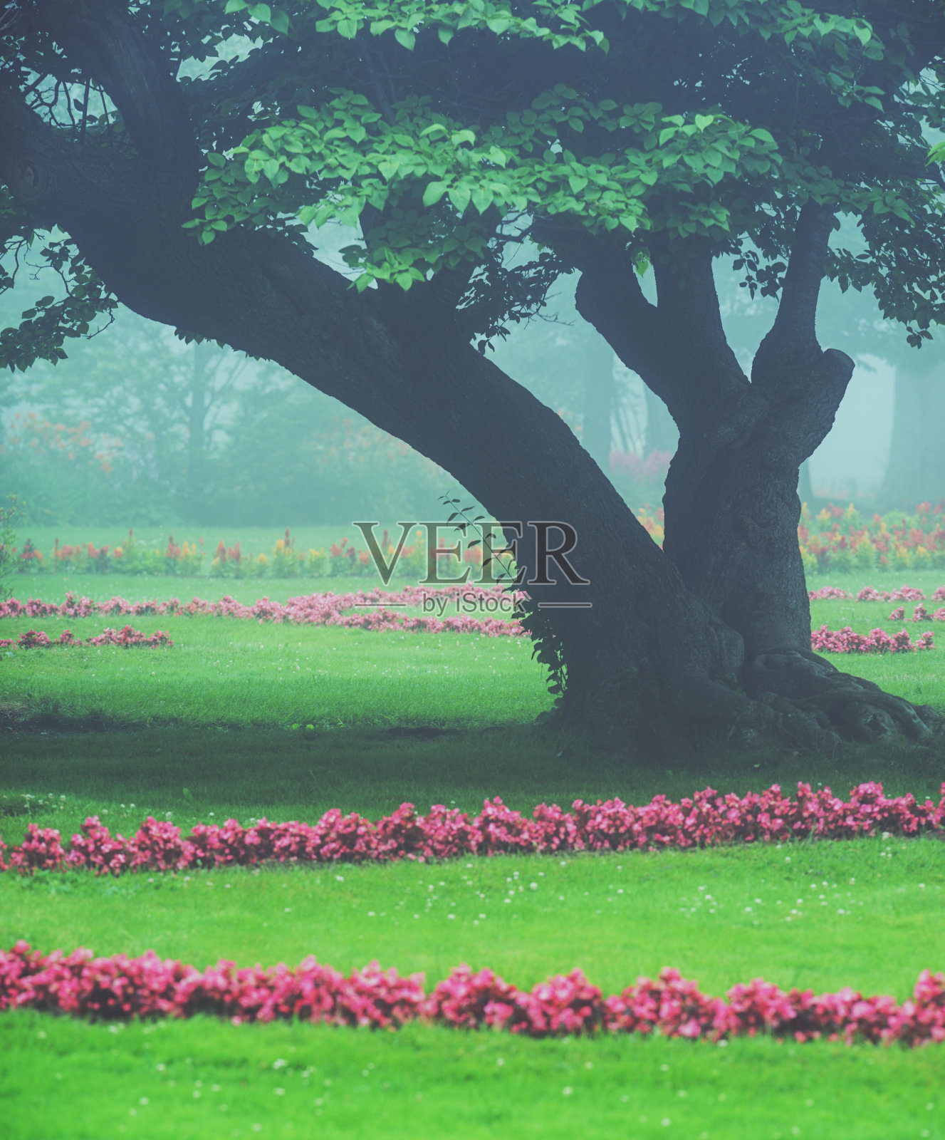 哈利法克斯公园照片摄影图片