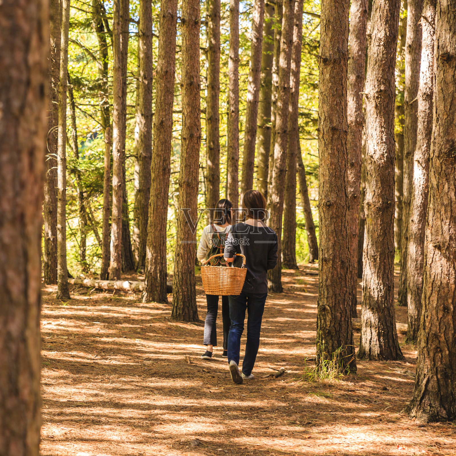 两个少女在森林里徒步旅行照片摄影图片