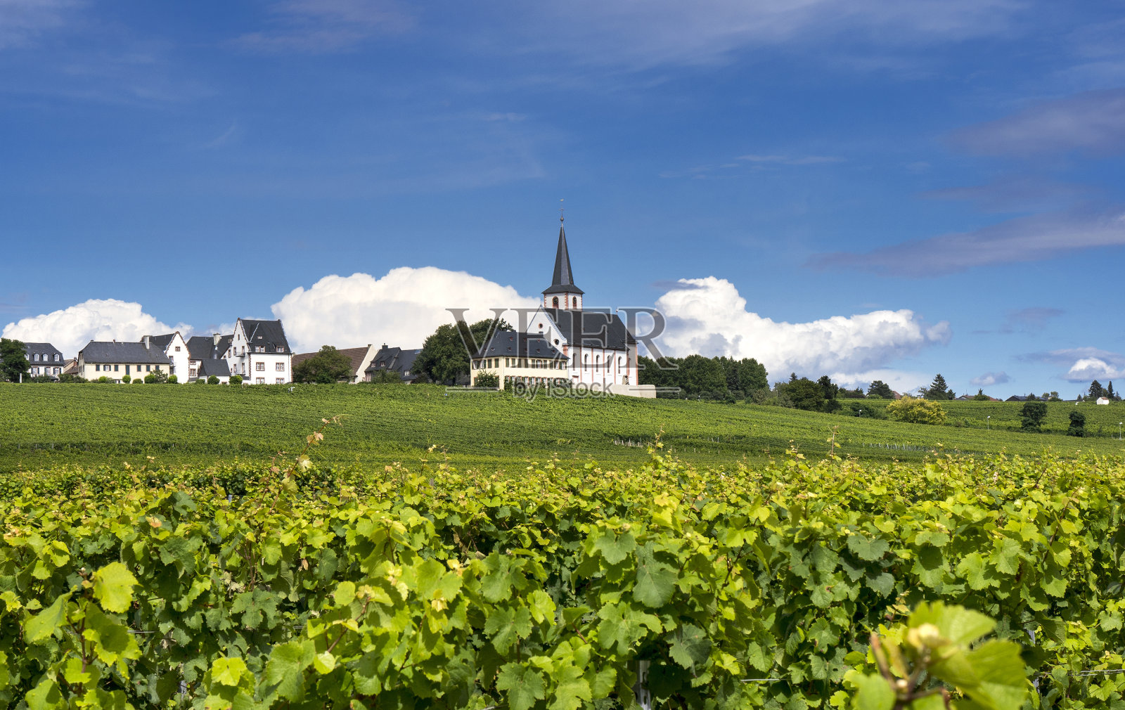 德国霍赫海姆市-葡萄园和教堂照片摄影图片