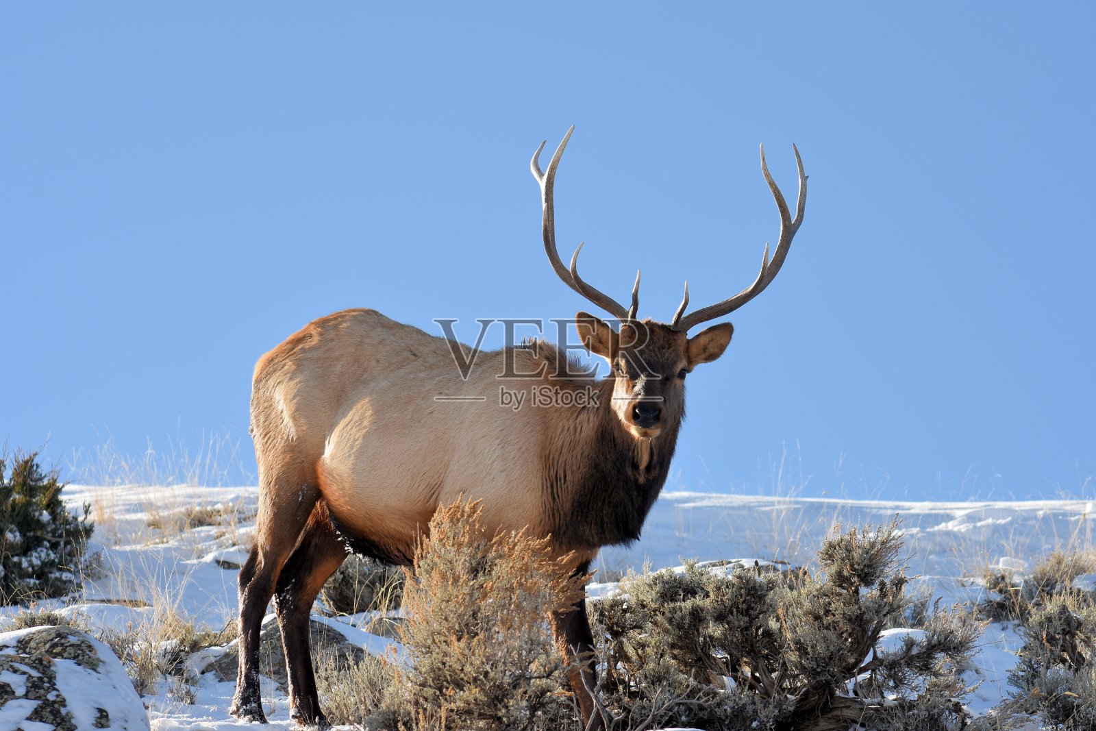 每照片摄影图片