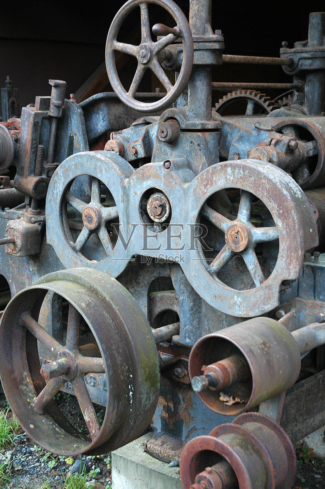 老丑的机照片摄影图片