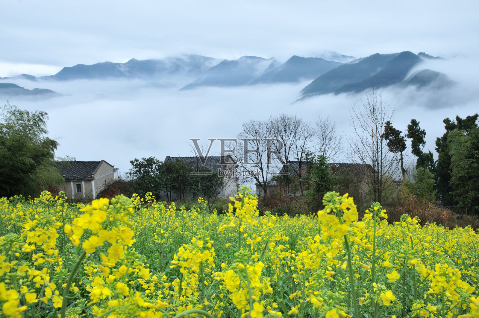 中国安辉之春照片摄影图片