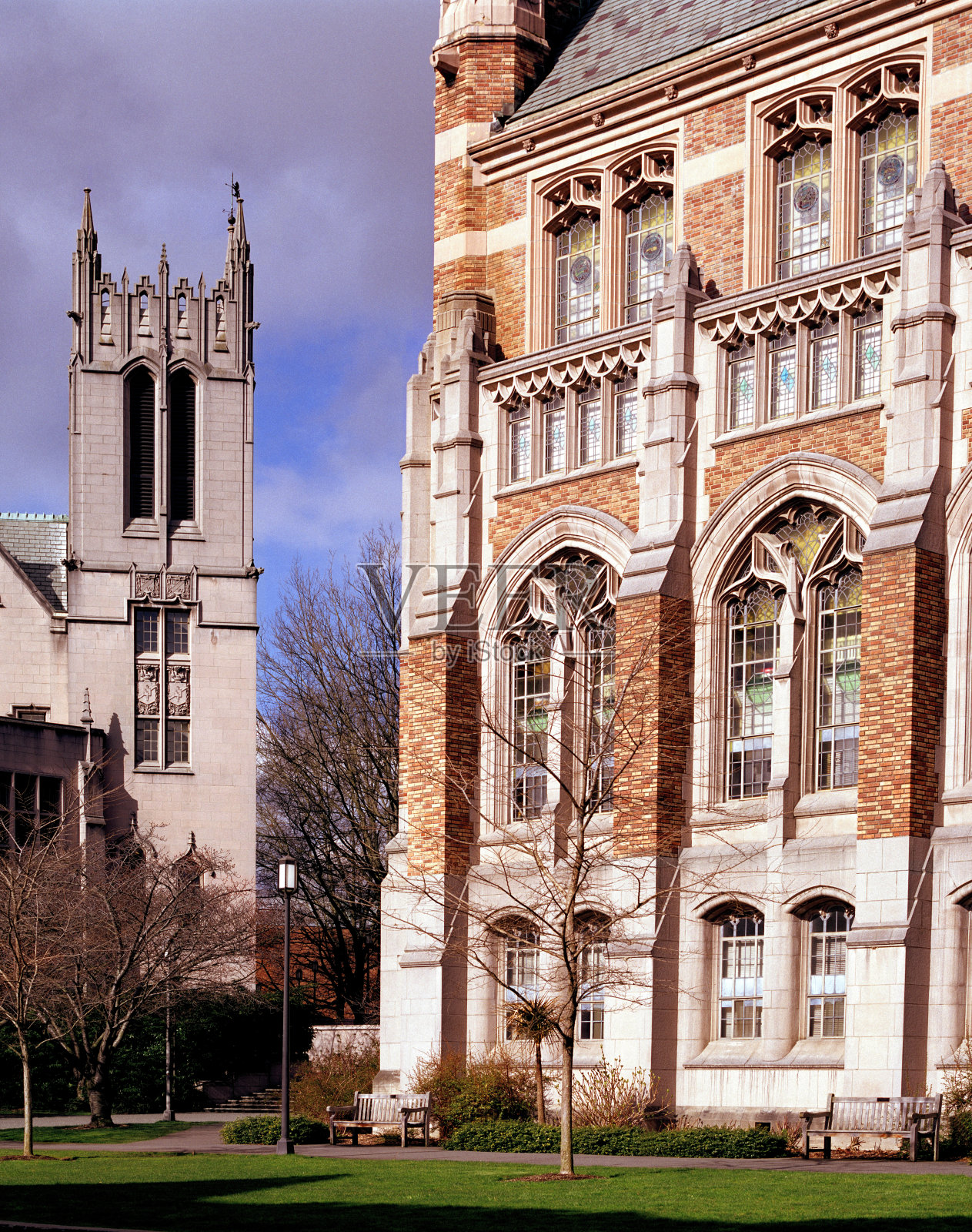 苏萨洛图书馆和Gerberding大厅，华盛顿大学照片摄影图片