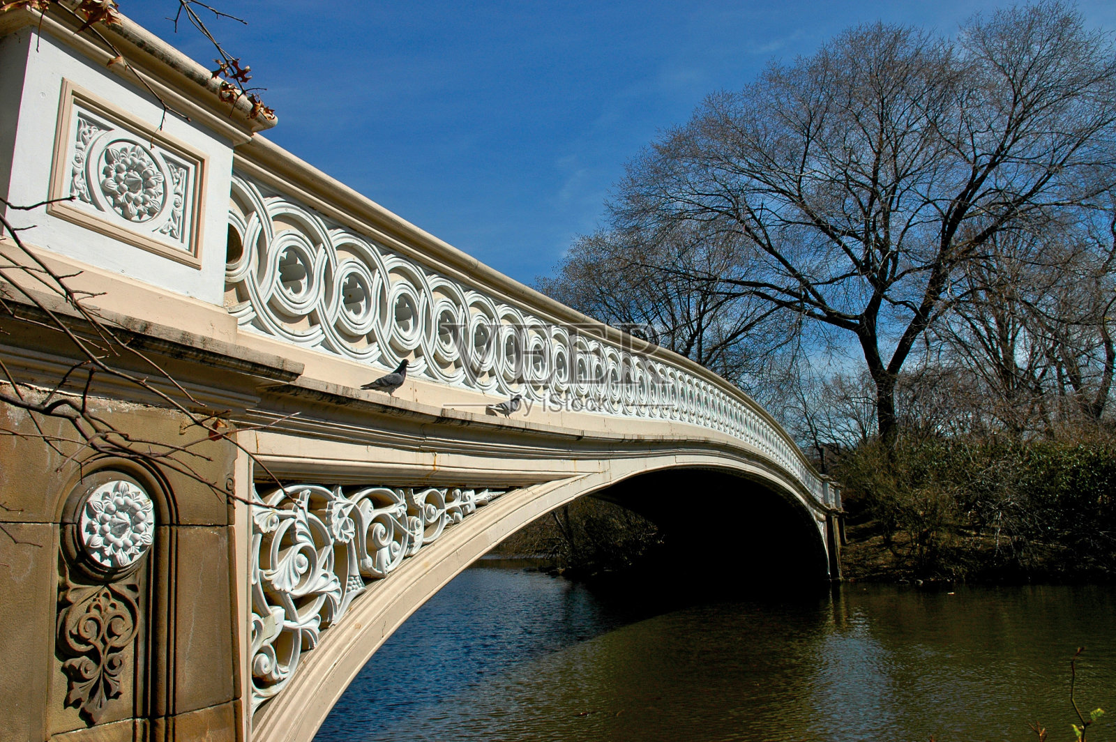 中央公园的弓桥照片摄影图片