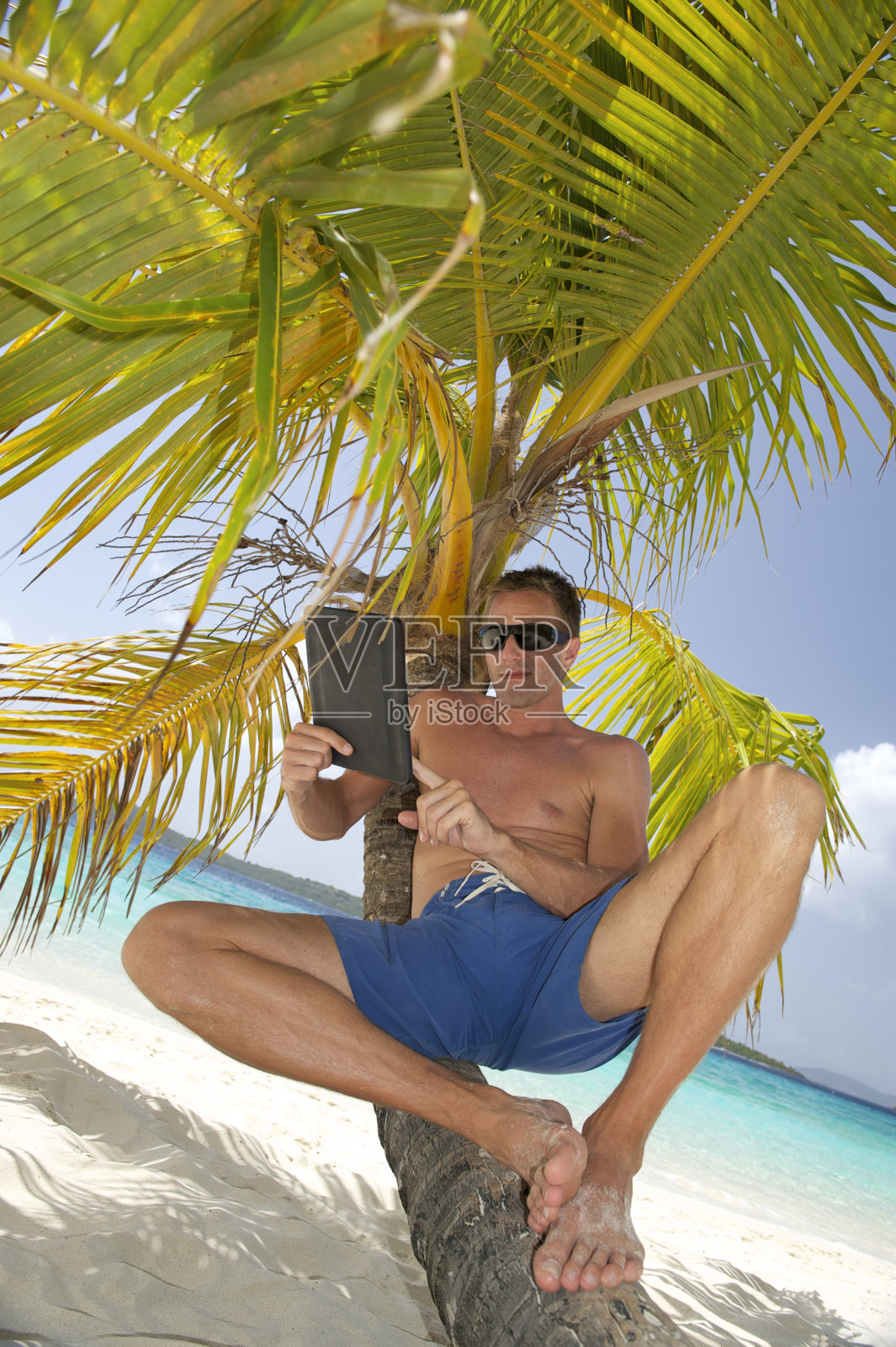 穿着短裤的男人在棕榈树上用数码平板电脑放松照片摄影图片