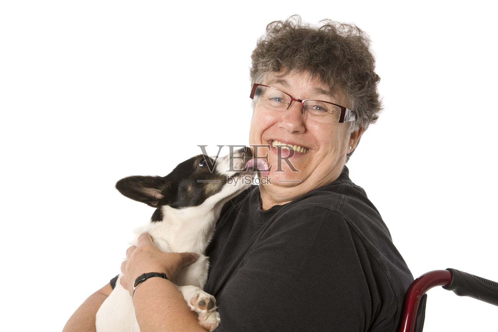 高级女人和狗照片摄影图片