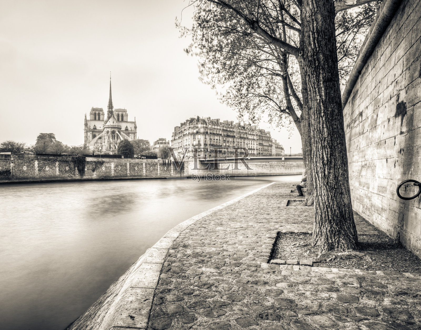 穿过塞纳河的圣母院照片摄影图片