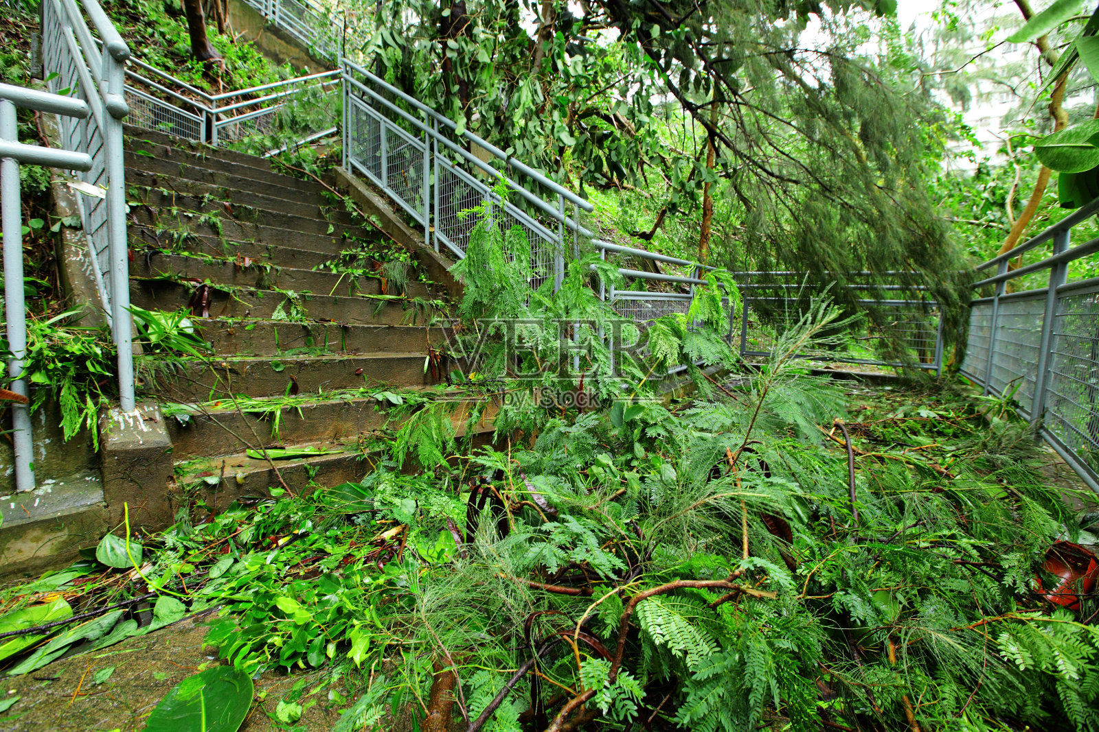 台风过后城市的破坏照片摄影图片