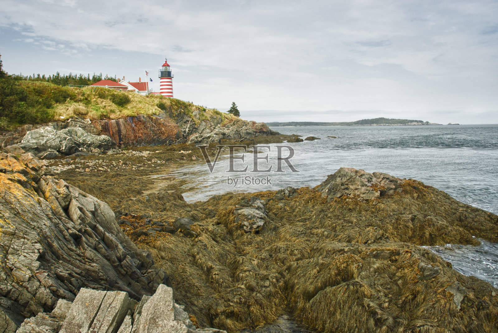 西Quoddy Head灯塔照片摄影图片