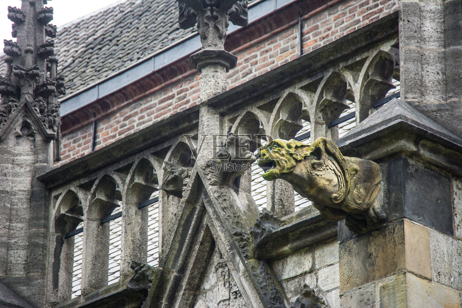 石像鬼哥特式大教堂乌得勒支9照片摄影图片