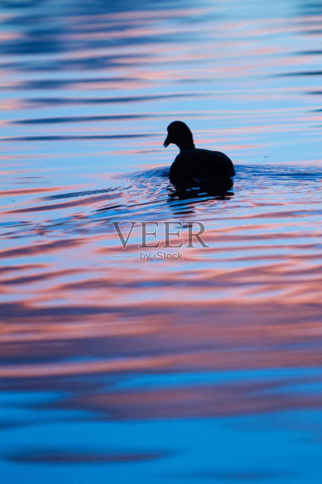 宁静照片摄影图片