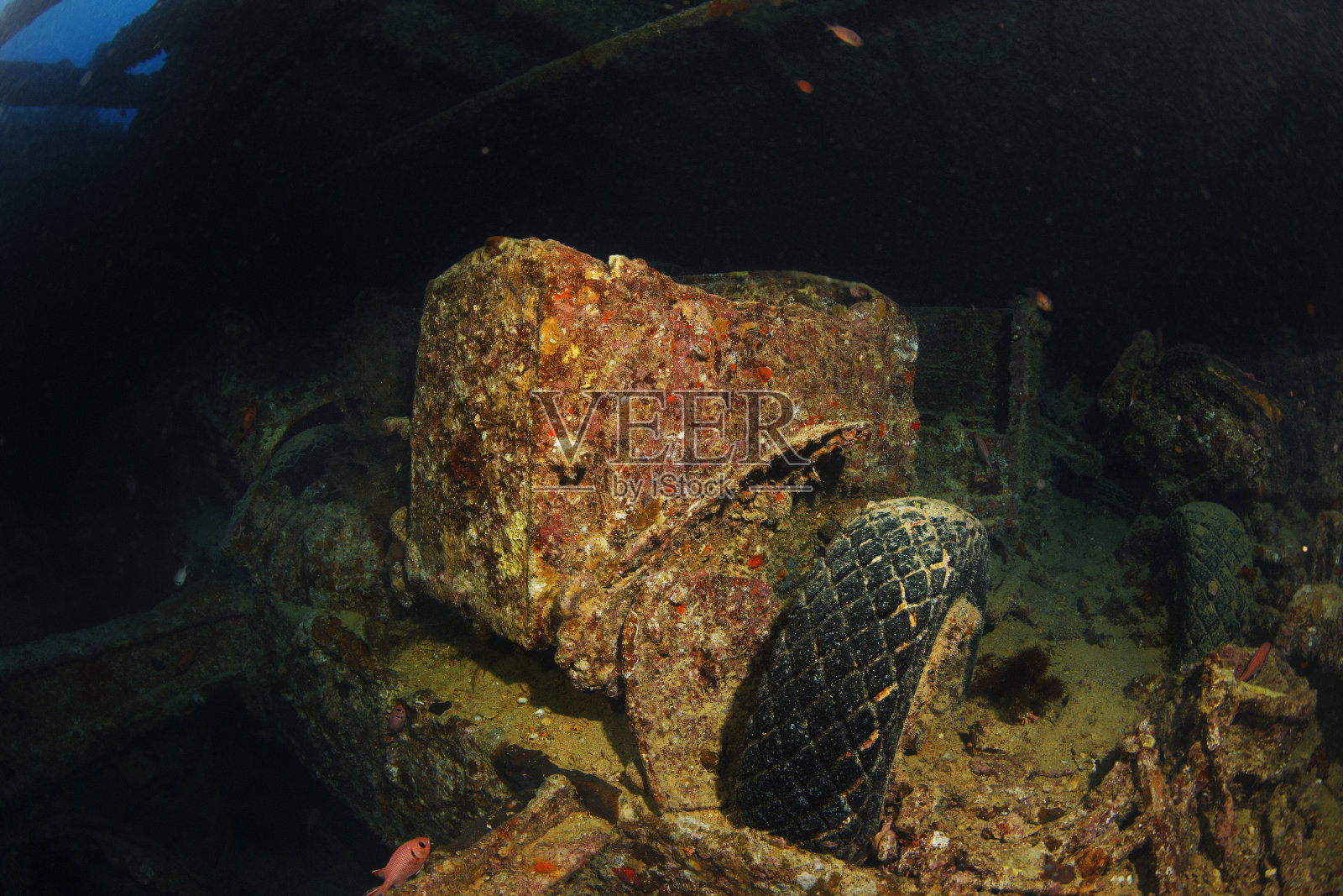 水下船只沉船潜水SS Thistlegorm卡车照片摄影图片