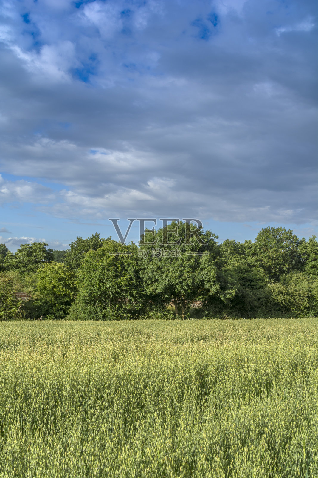 场照片摄影图片