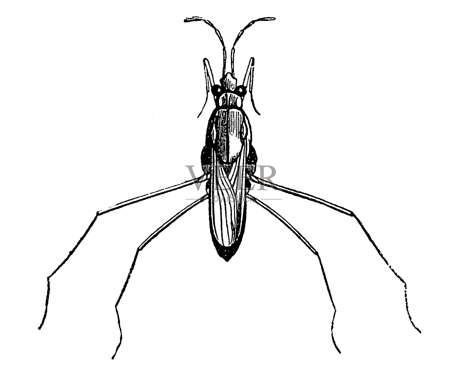 拉科斯特里斯水文仪设计元素图片