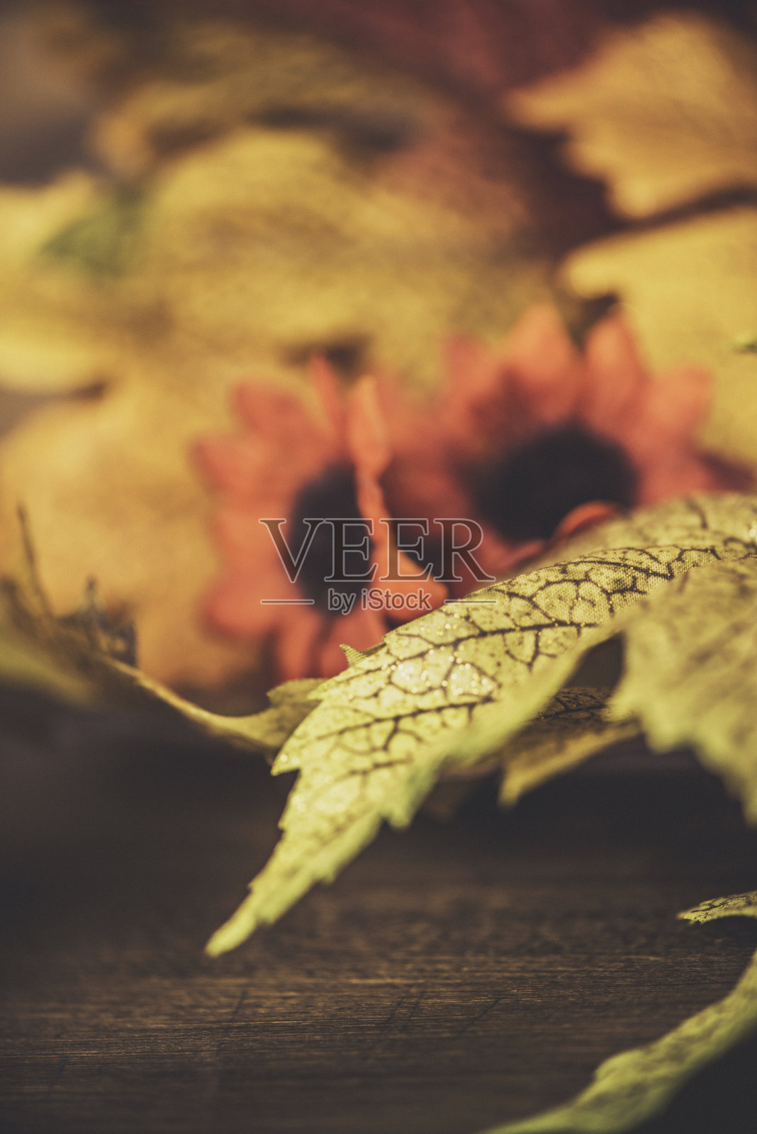 枫叶背景照片摄影图片