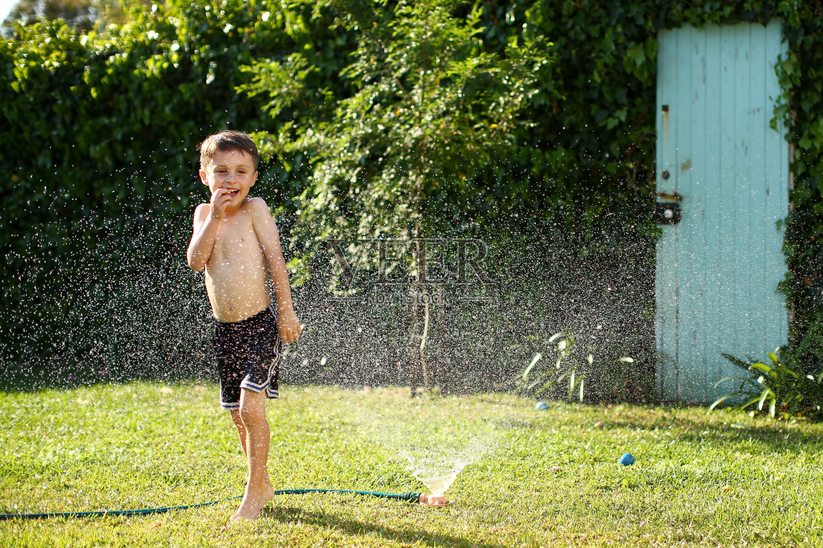 洒水喷头下的夏天照片摄影图片