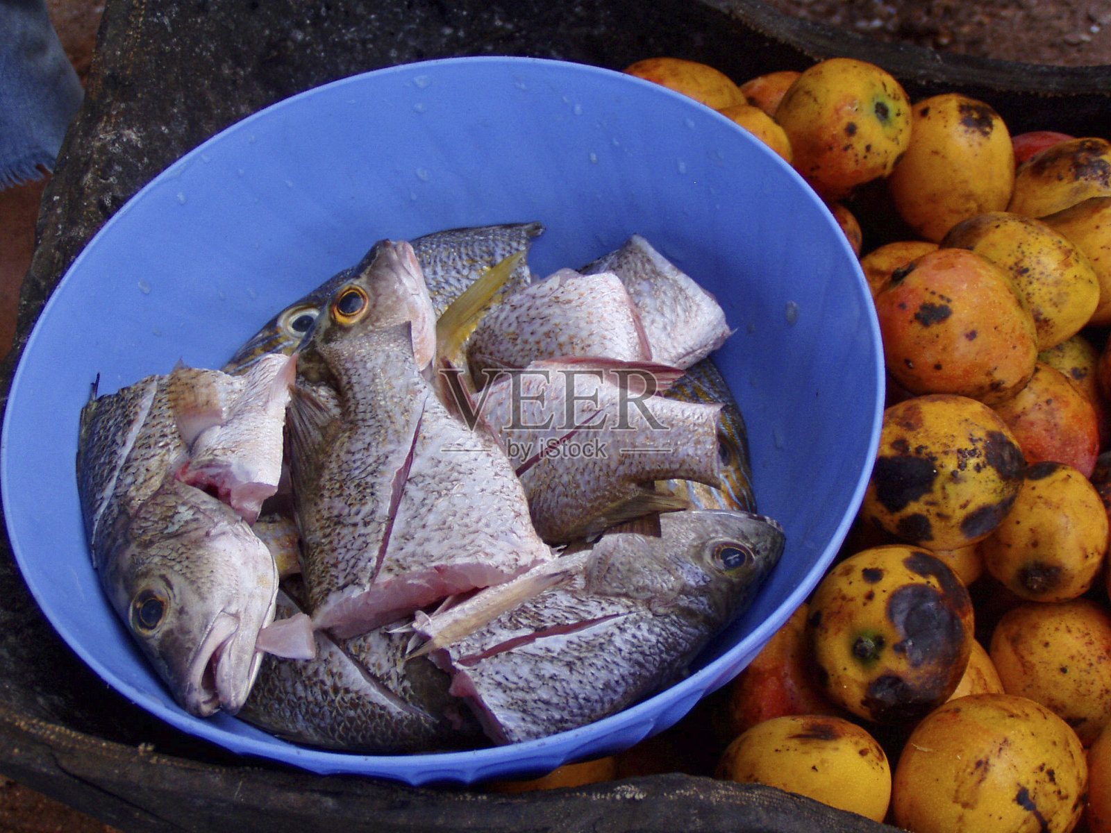 有鱼和芒果的静物画照片摄影图片