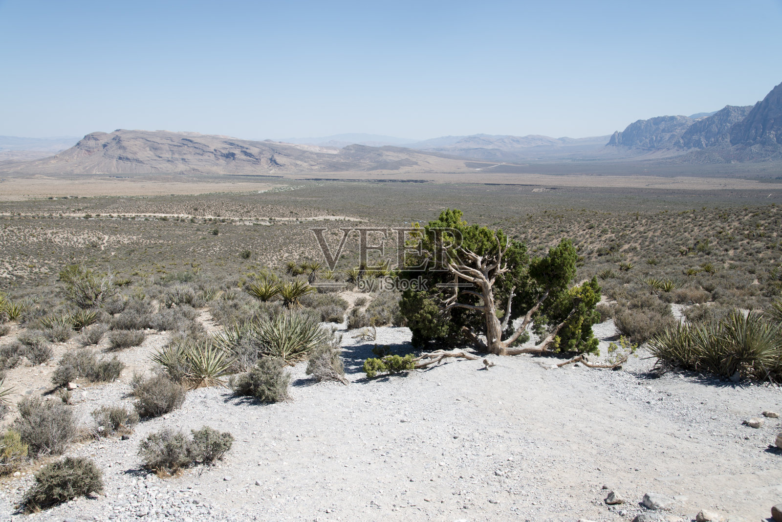 红岩峡谷，内华达州照片摄影图片