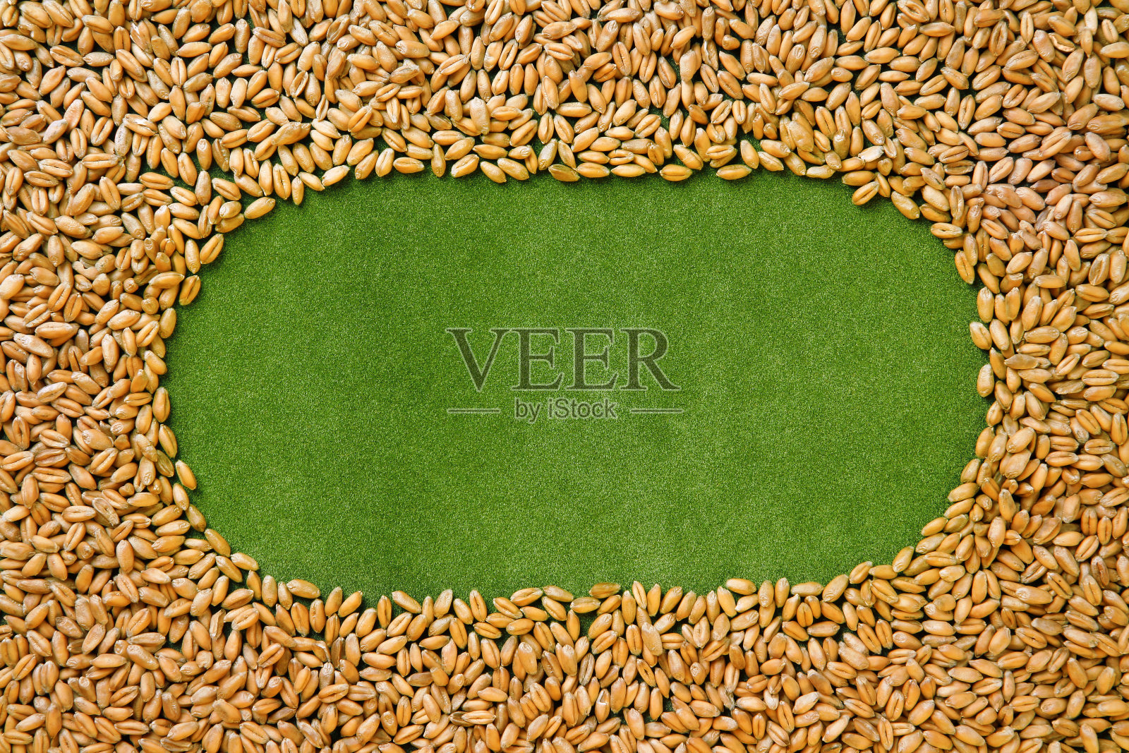 麦粒制成的框架照片摄影图片