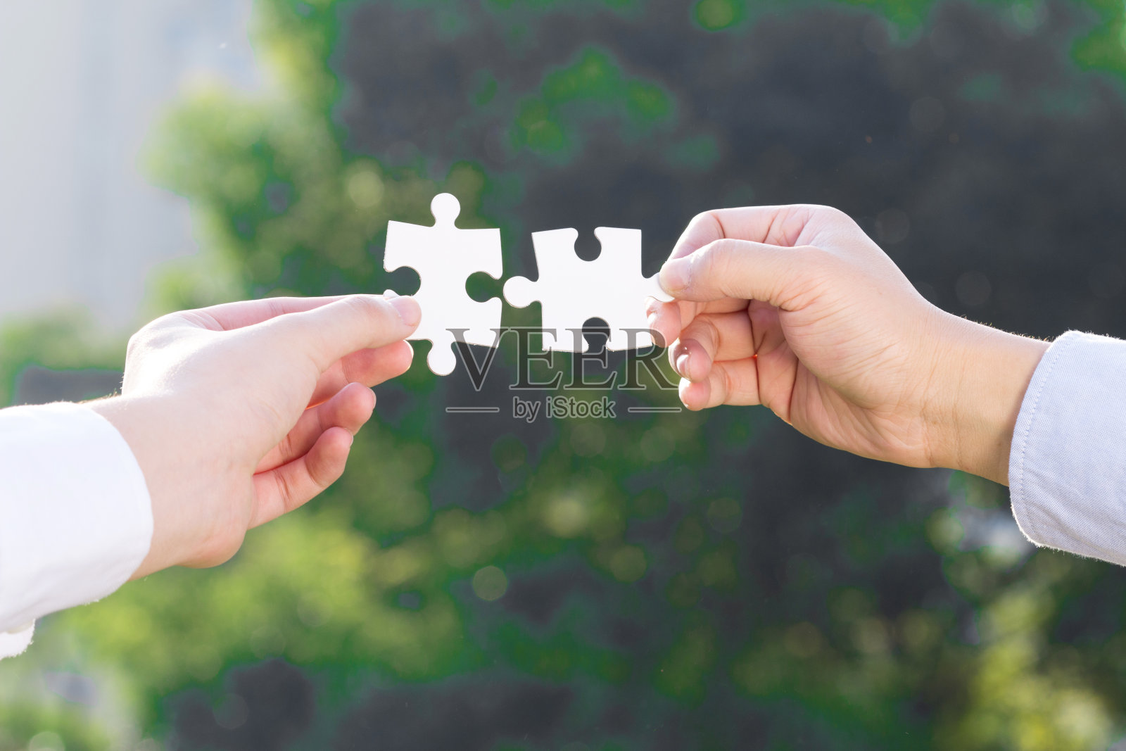 拼图和概念与树的背景照片摄影图片