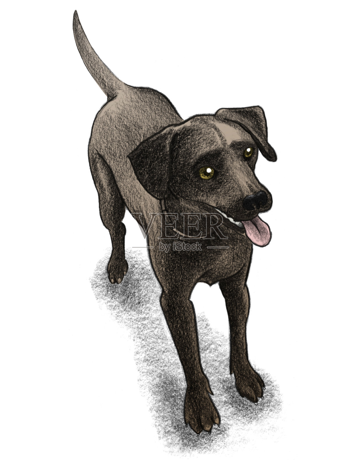 巧克力的实验说明插画图片素材